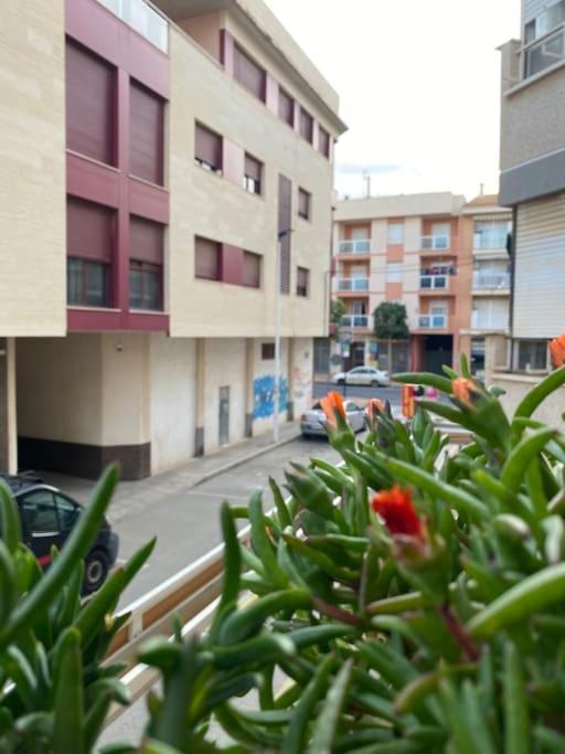 Voulez Vous Numero Uno San Pedro del Pinatar Esterno foto